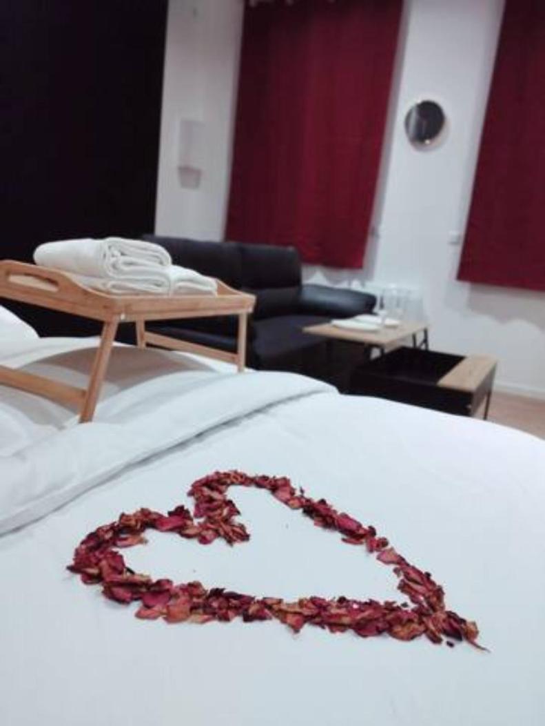 Ng Prestige - Lille L Tourcoing Winoc - Balneo - Sauna - Netflix - Wifi Exteriér fotografie